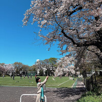画像534